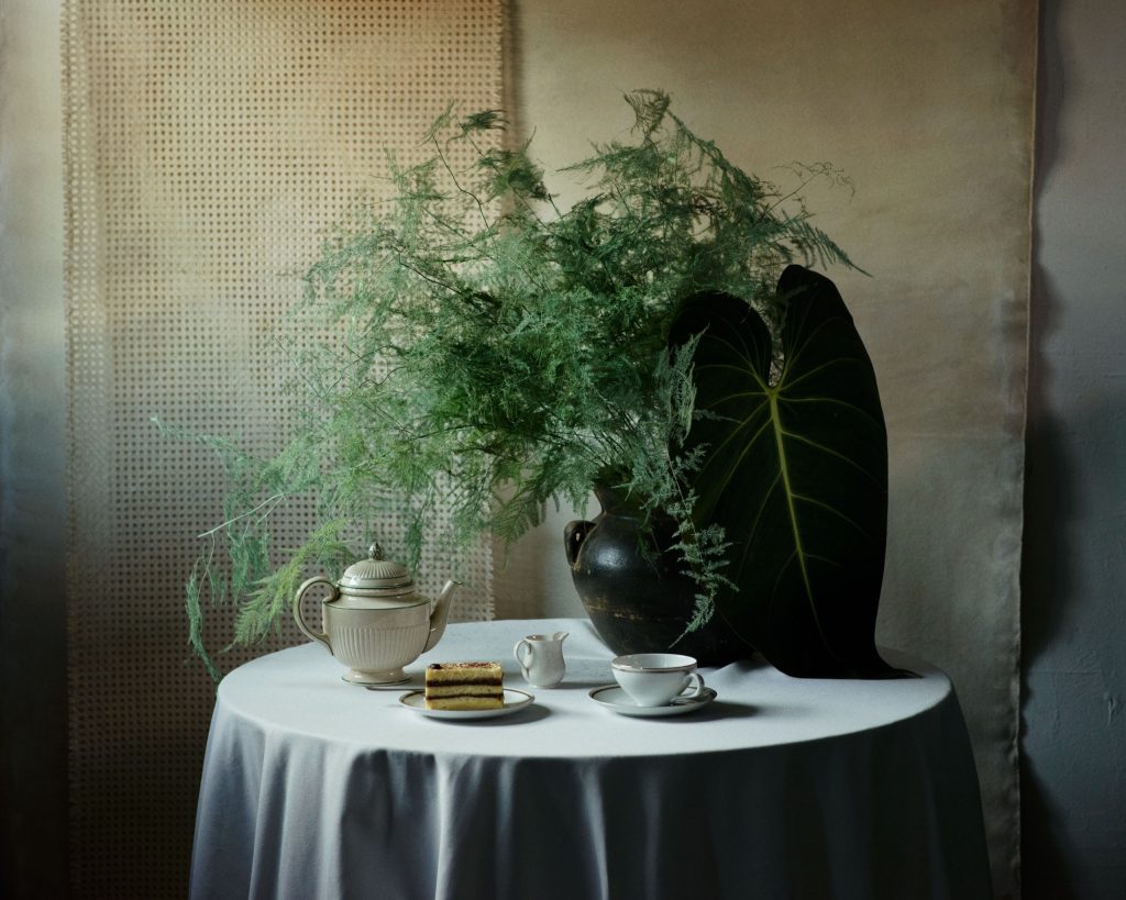 Pleasure Garden Magazine