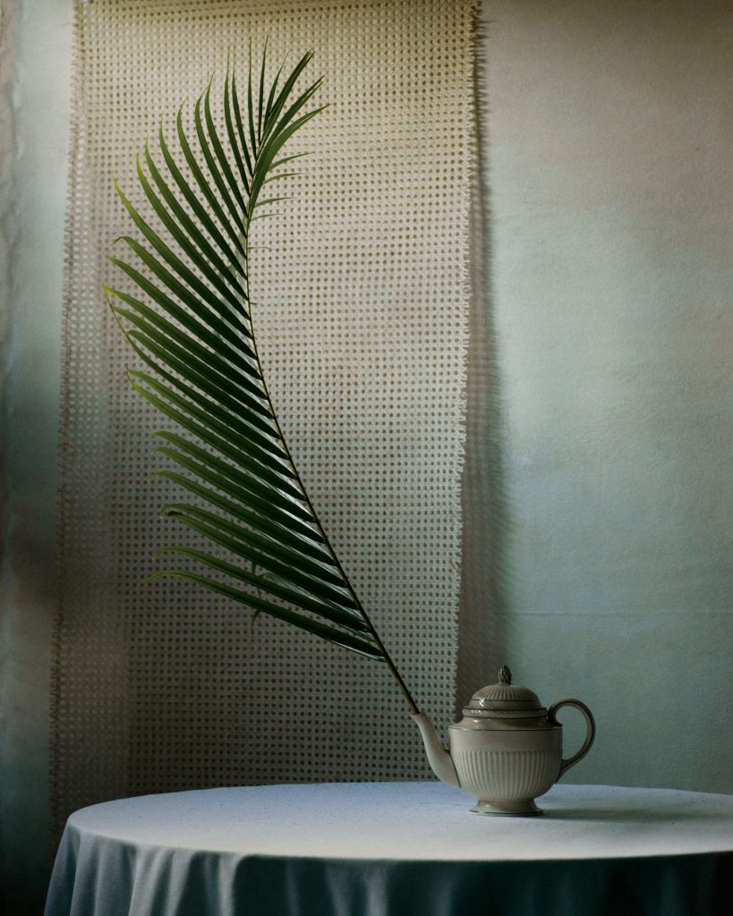 Pleasure Garden Magazine